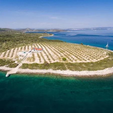 Cape Of Tranquility * Otok Zizanj