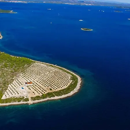 Cape Of Tranquility * Otok Zizanj